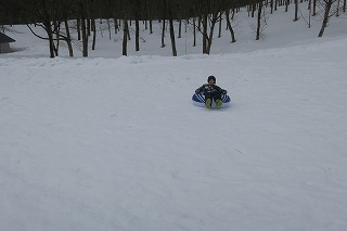 林のそばを滑る児童の写真