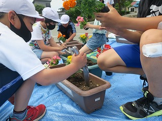 プランターに花を植える児童たちの写真