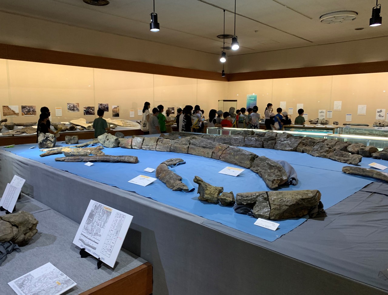 陳列された大きな化石の奥で子供たちが展示ケースを眺めている写真