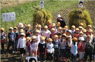 田んぼの中に足を踏み入れている黄色い帽子を被った大勢の子どもたちの写真