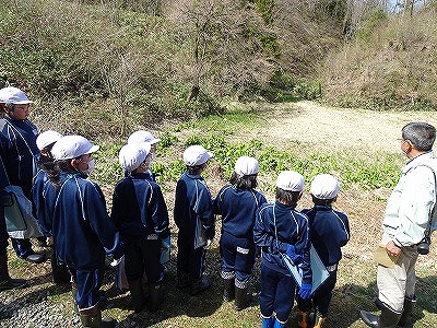晴天の中村湿原で、ガイドの男性の説明を聞きながらミズバショウの観察を行っている、白い帽子に青いジャージ姿の3年生の児童達の様子を写した写真