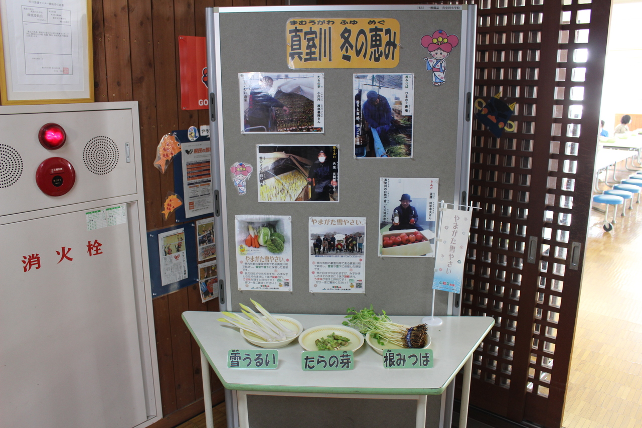 下部に畑の写真や「真室川 冬の恵み」と書かれた紙が貼られている展示ボードの前にある机に皿に盛られた野菜と野菜の名前を書いた紙が置かれている写真