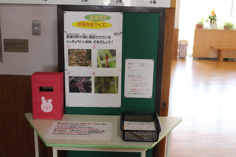 「真室川市の虫に指定されているハッチョウトンボはどれでしょう？」と書かれ、4枚の虫の写真が貼られているパネルの写真