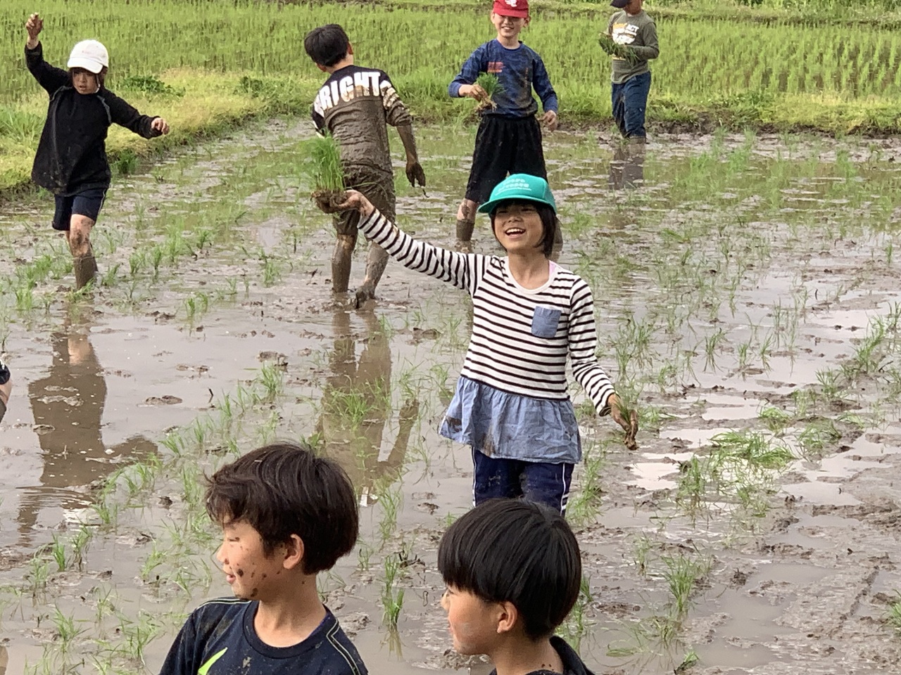 田んぼに植え付ける稲を持って笑顔の女子児童の写真