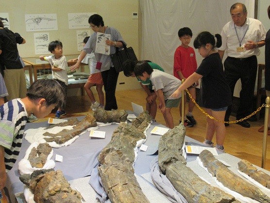 子供たちが室内に展示された化石をまじまじと見ている写真