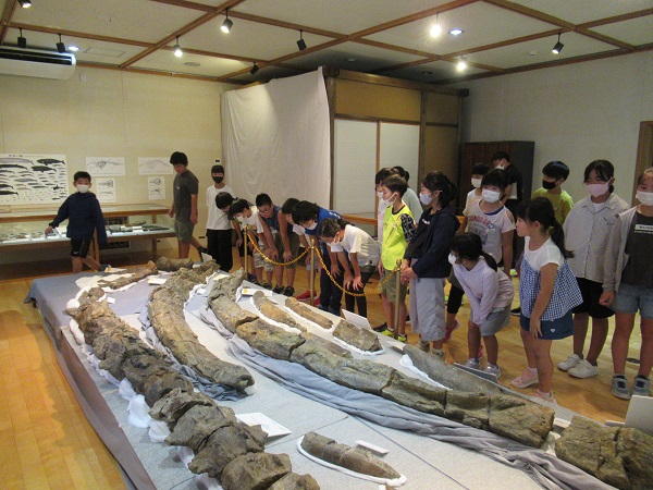 子供たちが展示されている化石を屈み腰になって見ている写真