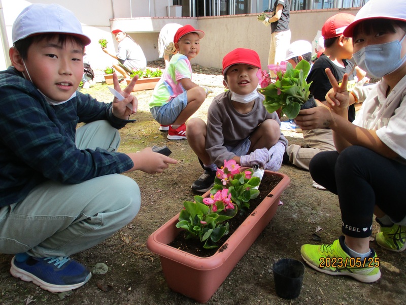 花を植えたプランターの周りにしゃがんでカメラにピースしている児童たちの写真