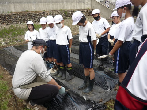 甚五右ヱ門芋の畑で、白い帽子を被った体操服姿の5年生の児童達が、佐藤春樹さんから、種芋の植え付けの方法を教えてもらっている様子を写した写真