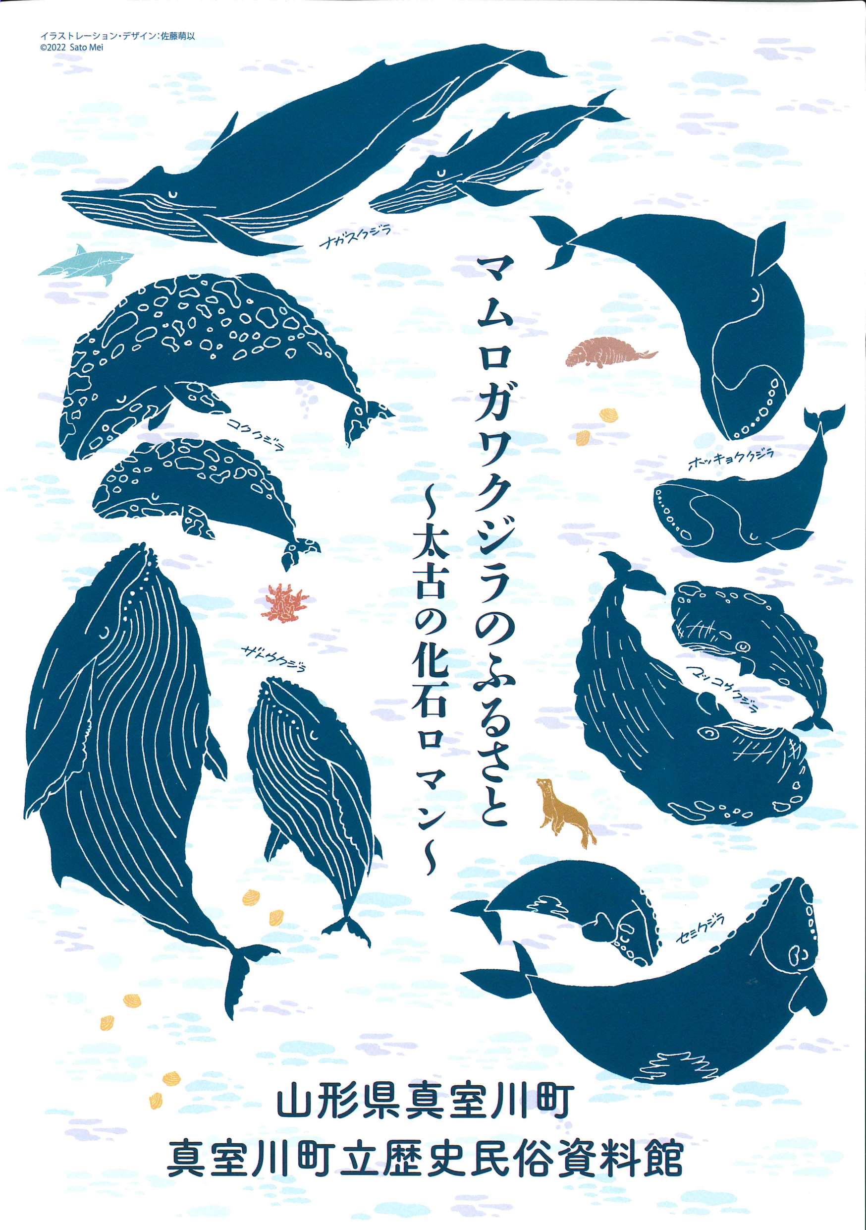 企画展アーカイブ「おかえりなさい マムロガワクジラ」展 2023年