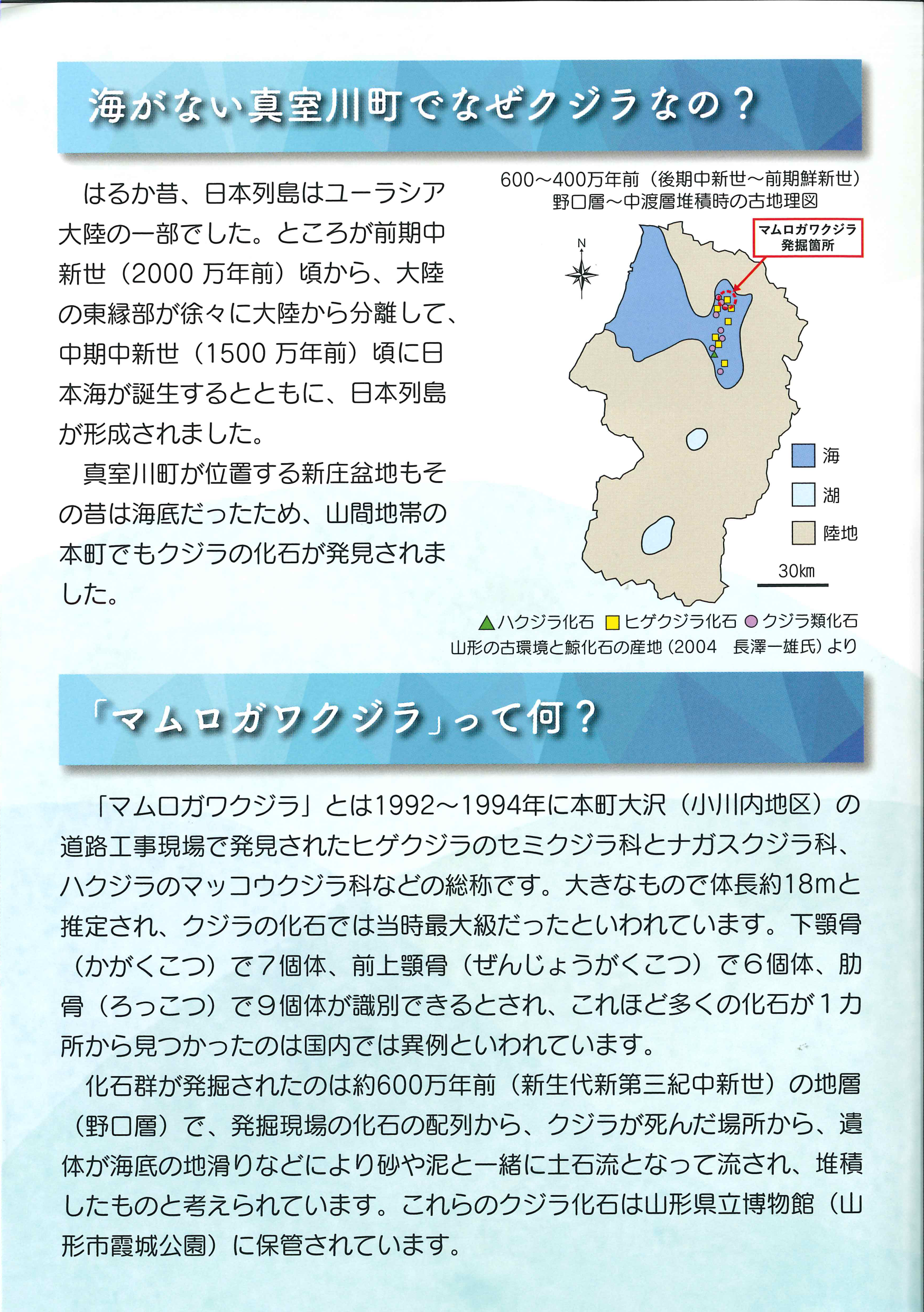 マムロガワクジラのふるさと～太古の化石ロマン～パンフレットの2ページ目のスキャン画像