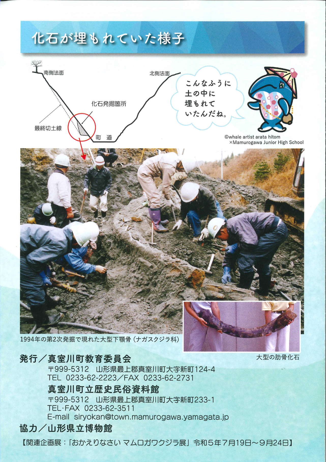 マムロガワクジラのふるさと～太古の化石ロマン～パンフレットの4ページ目のスキャン画像