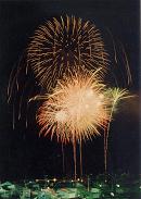 協賛花火大会で夜空に大きく開いた打ち上げ花火を捉えた様子の写真