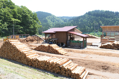 山間にある多くの材木が積み上げられた庄司製材所の外観写真